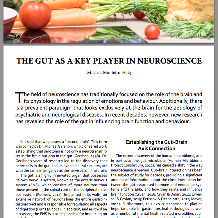 the Neuropsychotherapist article - the gut as a key player in neuroscience